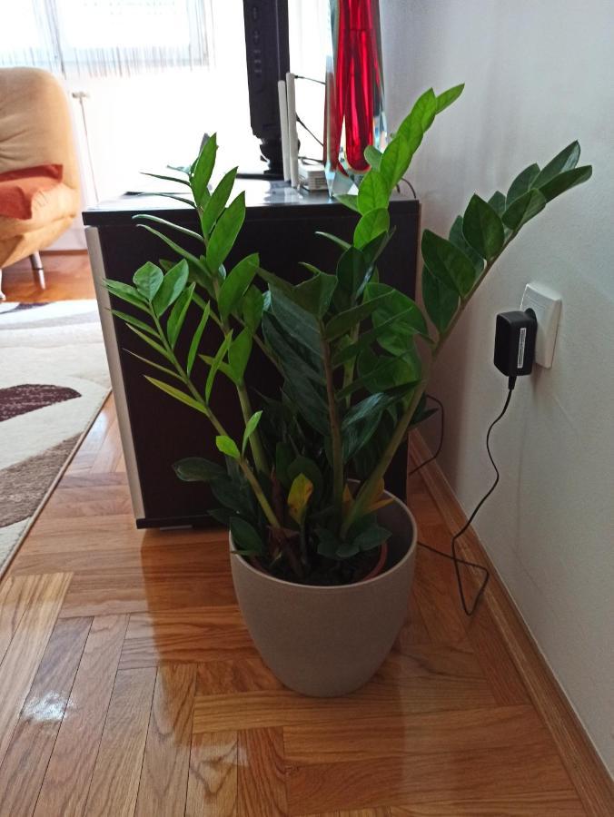 Bk Apartment, Istocno Sarajevo, Lukavica מראה חיצוני תמונה
